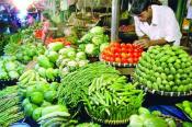 How Biotech Crops Help Wildlife